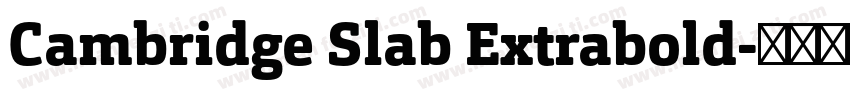 Cambridge Slab Extrabold字体转换